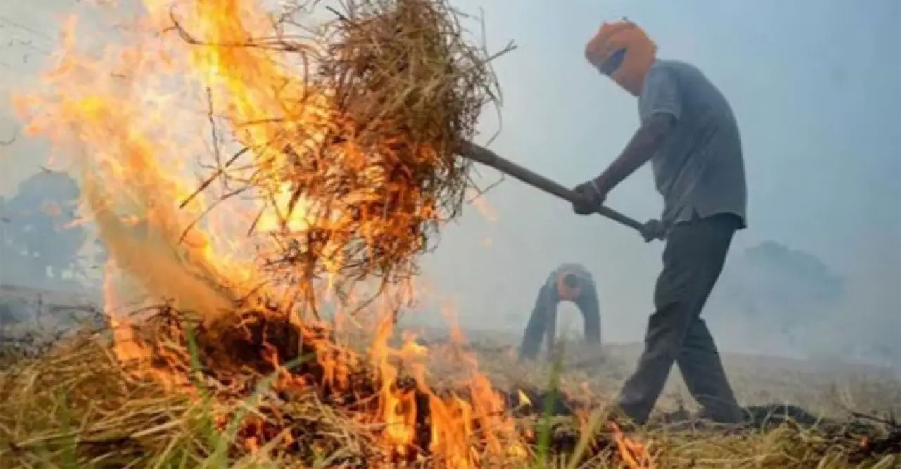 দিল্লির বায়ুদূষণ রোধে  ৫ রাজ্যকে খড় পুড়ানো বন্ধের নির্দেশ সুপ্রিম কোর্টের