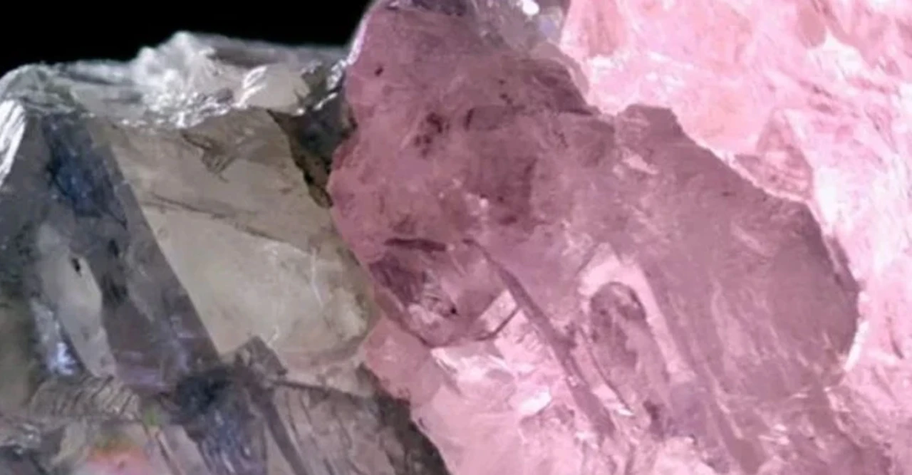 চমক দিয়ে গেল বতসোয়ানা! খনিতে মিলল অর্ধেক গোলাপী, অর্ধেক সাদা বিরল হীরার সন্ধান