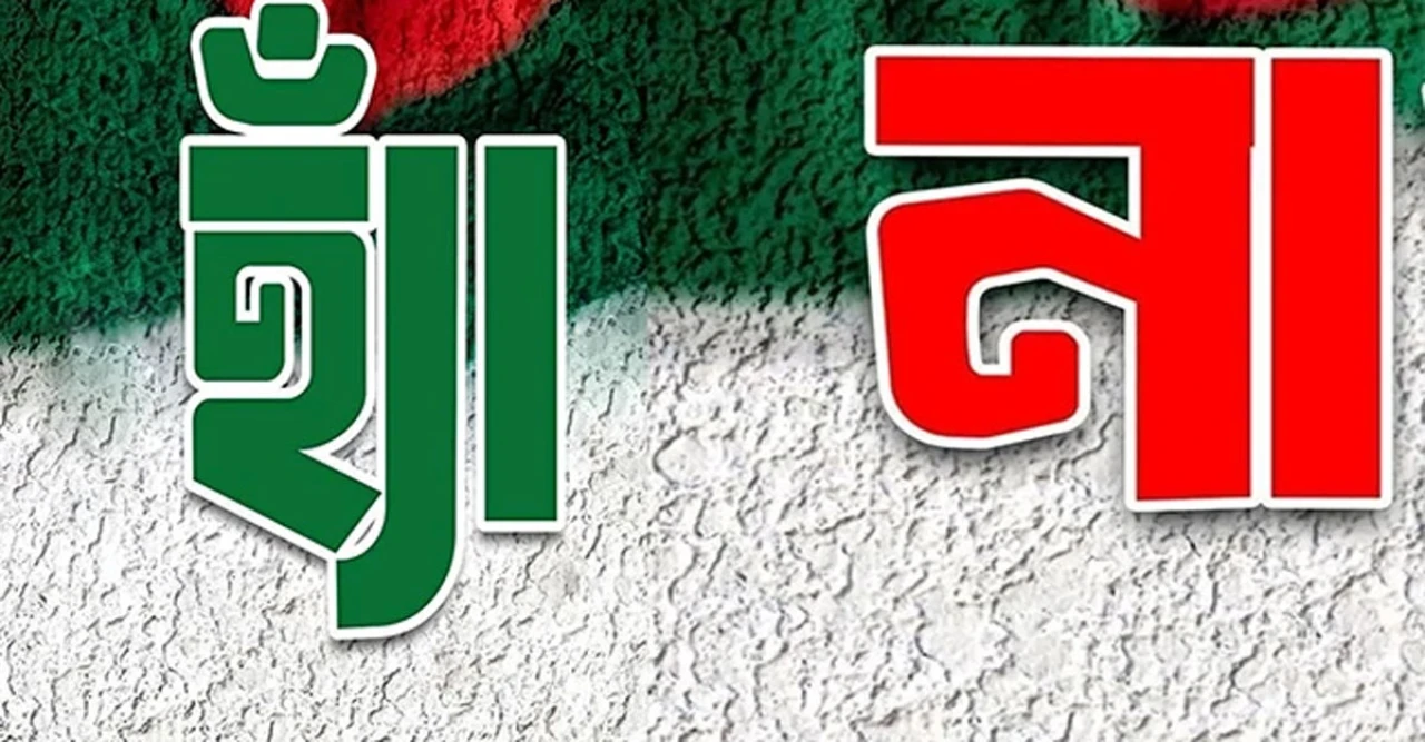 ফেসবুক জ্বলে উঠেছে ‘হ্যাঁ’ ‘না’ যুদ্ধে! নির্বাচনের আগে গণভোটের ঝড়