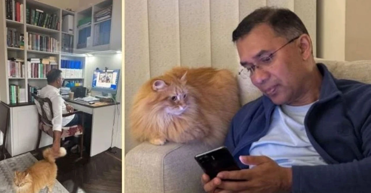 তারেক রহমানের আদরের ‘জিবু’র পাসপোর্ট রেডি! বিড়াল নিয়েই দেশে ফিরছেন ভাইস চেয়ারম্যান