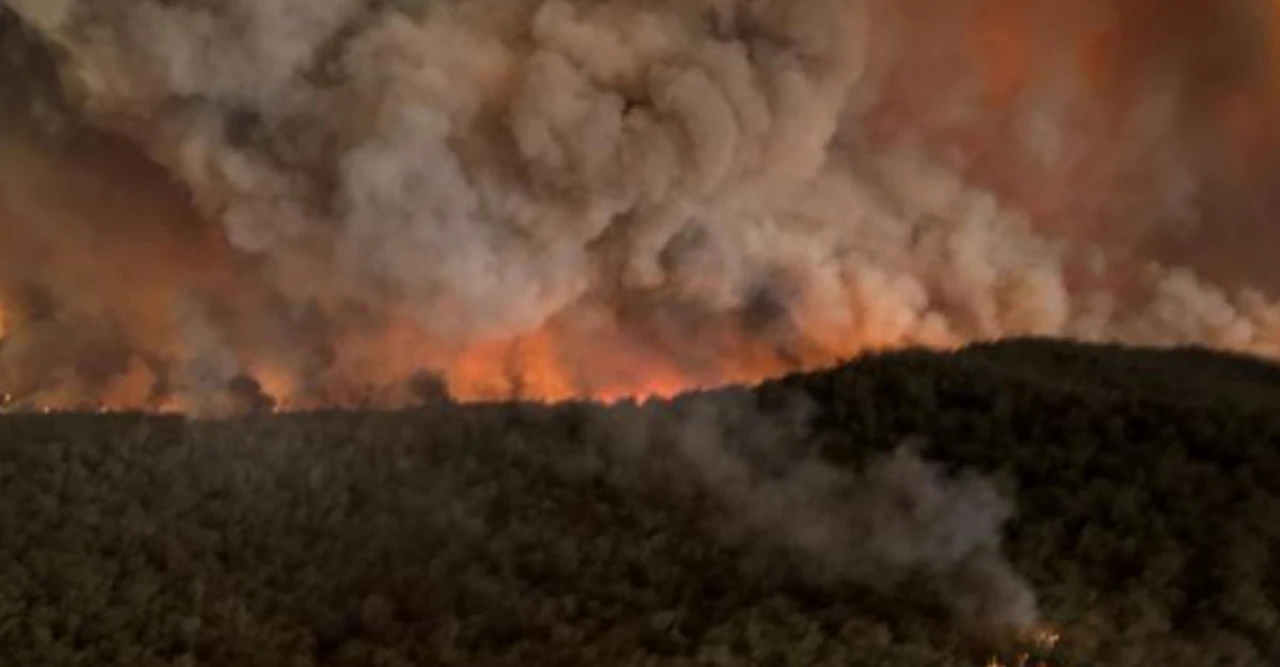 অস্ট্রেলিয়ার আকাশ লাল করে দিলো দানবীয় দাবানল! ২০ হাজার একর বন পুড়ে ছাই 