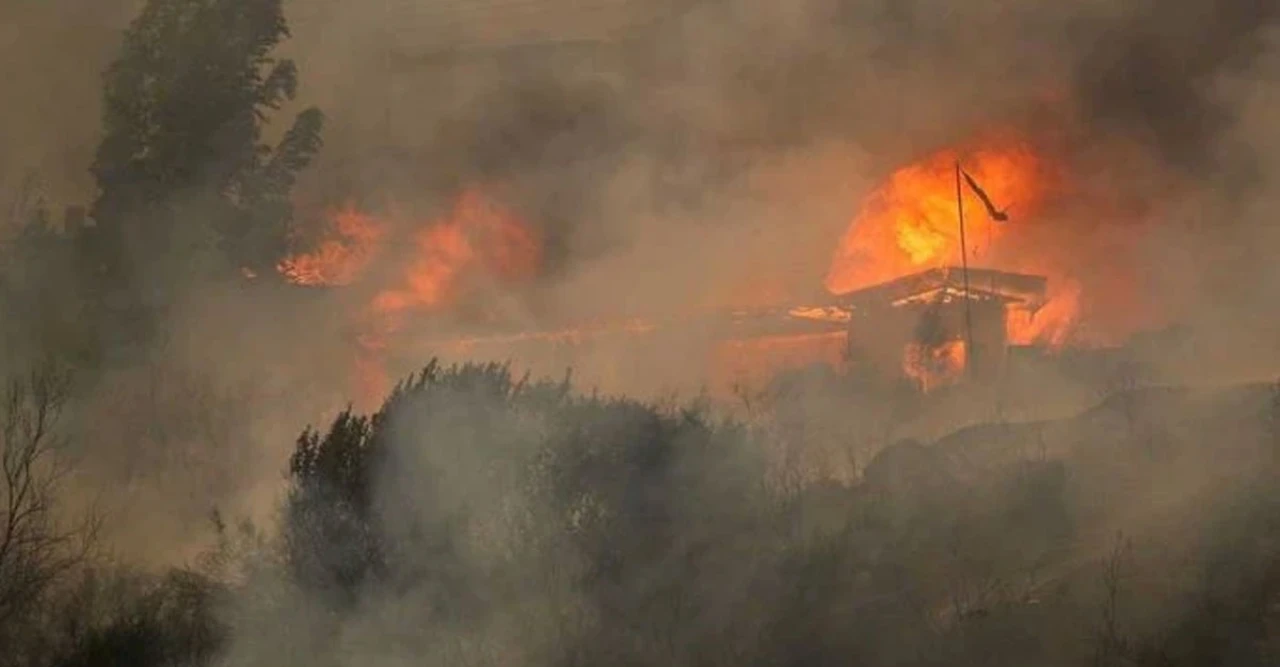 "চিলিতে 'মহাবিপর্যয়' ঘোষণা! ভয়াবহ দাবানলে ১৬ জনের মৃত্যু, ২০ হাজার মানুষ বাস্তুহারা"