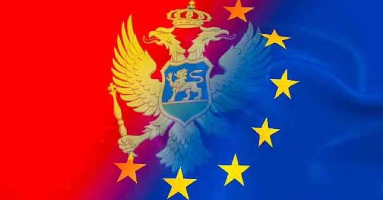 বড় পদক্ষেপ! ইউরোপীয় ইউনিয়নে যোগ দিতে যাচ্ছে এই দেশ, লাভ কী বাংলাদেশের?