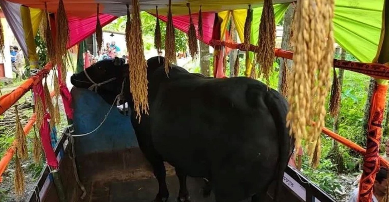 কালো মানিক’ উপহার হিসেবে গ্রহণ নয়, খালেদা জিয়ার চাওয়া শুধু দোয়া