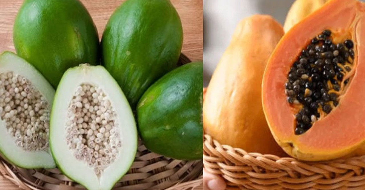 পেঁপেতে কমবে ওজন-ব্লাড সুগার-প্রেশার