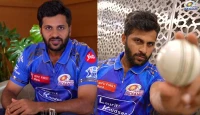 দিল্লি ক্যাপিটালসের বড় সিদ্ধান্ত! ফাফ ডু প্লেসিস-জেক ফ্রেজার-ম্যাকগার্ককে ছাড়ছে, নাটারাজন নিয়ে অন্তর্কলহ!