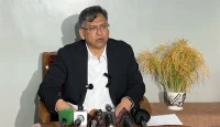 বিএনপির বড় জয়, কিন্তু উল্লাস নয়! সালাহউদ্দিন আহমদের বার্তায় চমক