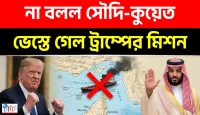 প্রজেক্ট ফ্রিডম ভেস্তে গেল, সৌদি ও কুয়েতের আপত্তিতে পিছু হটলেন ট্রাম্প