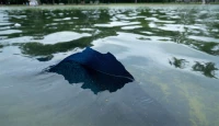 "American Flag Blue" Coating Peeling at Lincoln Memorial Reflecting Pool Days After $14.7M Renovation