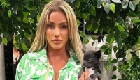 Katie Price Pleads for Safe Return of Missing Sphynx Cats After Tragic Week