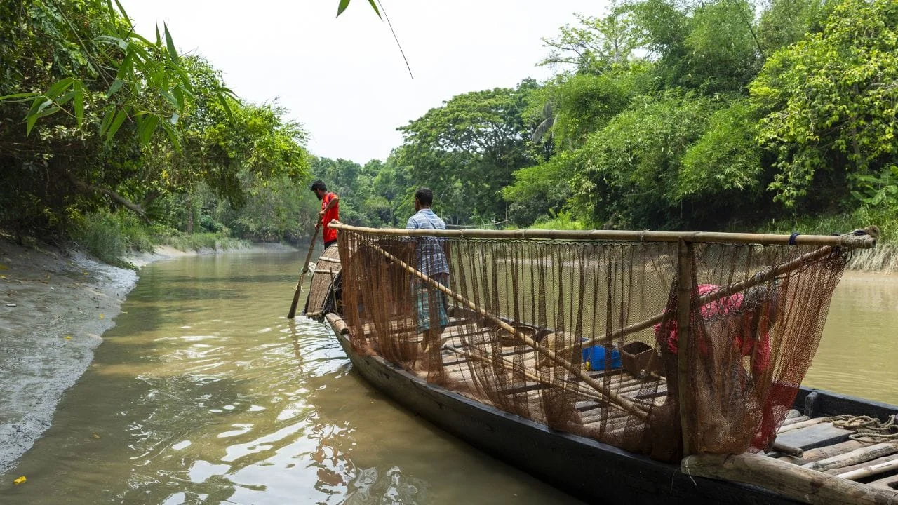 Sundarban No Entry: Sundarban entry is prohibited in unavoidable circumstances! Big instructions from the forest department