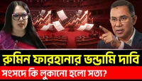 রুমিন ফারহানার বিএনপিকে ঘিরে ভন্ডামি দাবি: গ্যাস বিদ্যুৎ সংকট, দুর্নীতি ও খেলাপি ঋণের দায় কার ঘাড়ে