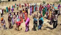 ১০০ দিনের কাজ প্রকল্পে বাংলার বকেয়া নিয়ে সংসদে তৃণমূলকে সমর্থন কংগ্রেসের