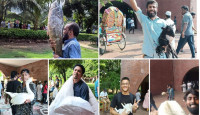 গণভবন থেকে যে যা পারছে নিয়ে যাচ্ছে
