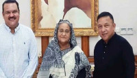 বিসিবির দুই পরিচালককে গণভবনে ডেকে নিলেন প্রধানমন্ত্রী