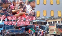বেনাপোল টার্মিনালে গ্রীলাইন পরিবহন থেকে ১০টি স্বর্নের বার উদ্ধার 
