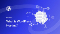 WordPress Hosting That Doesn't Suck: Blazing Fast & Budget-Friendly!