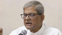 নিজ নিজ এলাকায় শান্তি ব্রিগেড তৈরি করে পাহারা দেন: মির্জা ফখরুল