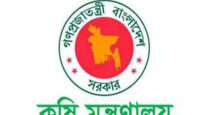 বন্যা পরবর্তী করণীয় নিয়ে কৃষি মন্ত্রণালয়ের ১২ সিদ্ধান্ত