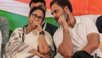 রাহুলের স্বস্তিতে খুশি মমতা, ‘ইন্ডিয়া’র বিরোধী ঐক্য আরও জোরদার