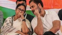 ২০২৪-এ কত আসন কংগ্রেস-তৃণমূলের এর সমীক্ষার বিষ্ময়কর ফলাফল