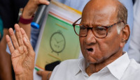 পাওয়ার সাক্ষাৎ করলেন অজিতের সঙ্গে, কোন পথে এনসিপির ভবিষ্যৎ