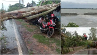 রেমালের তাণ্ডবে ১২ জনের মৃত্যু