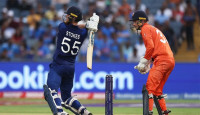 নেদারল্যান্ডসকে পাহাড় সমান ৩৪০ রানের লক্ষ্য দিলো ইংল্যান্ড